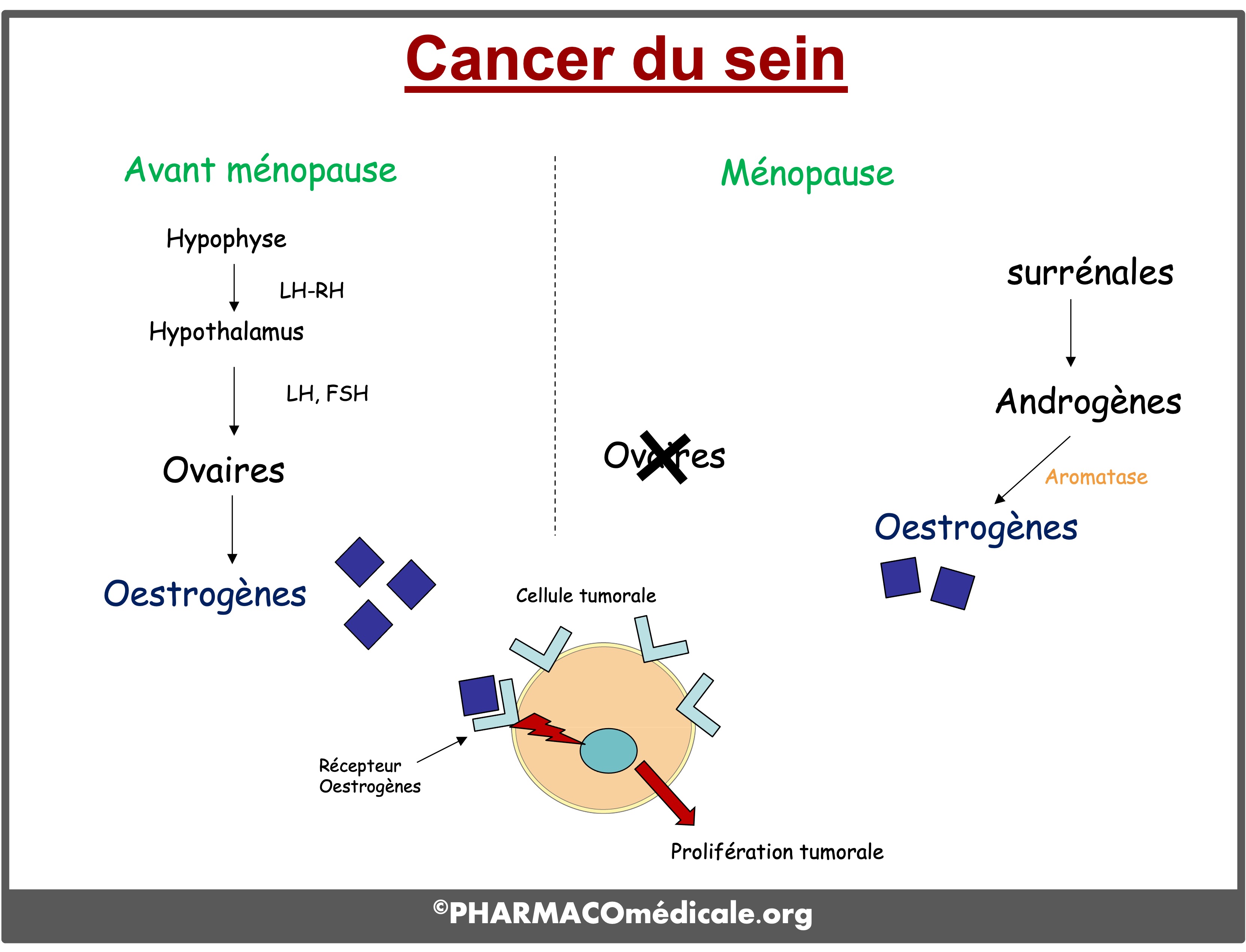 tamoxifène comment acheter