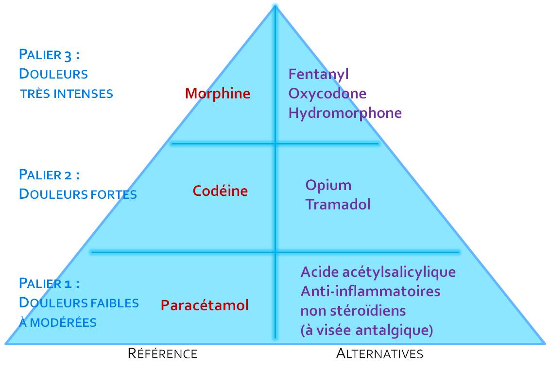 Où Acheter Du Palexia