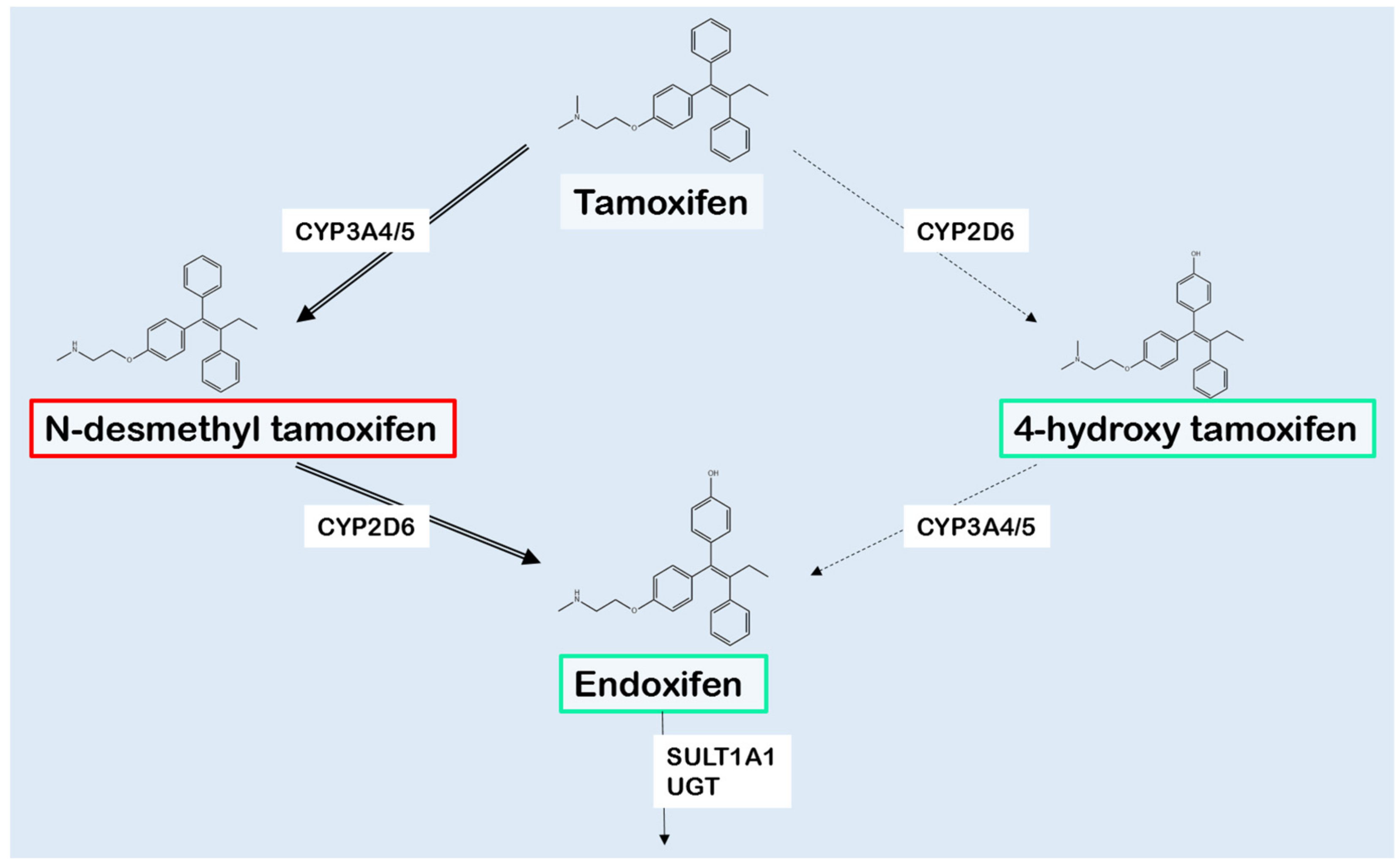 Commander Du Tamoxifen