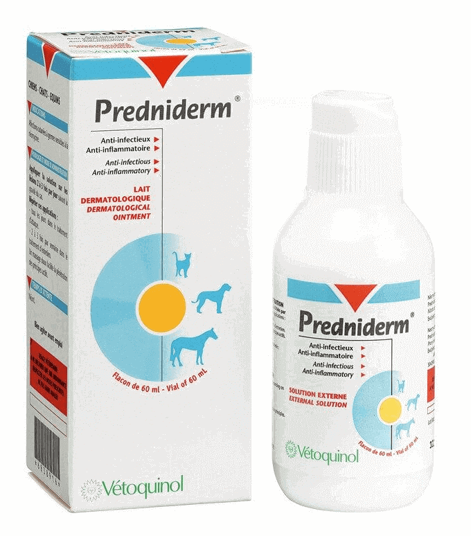 Achat de prednisolone