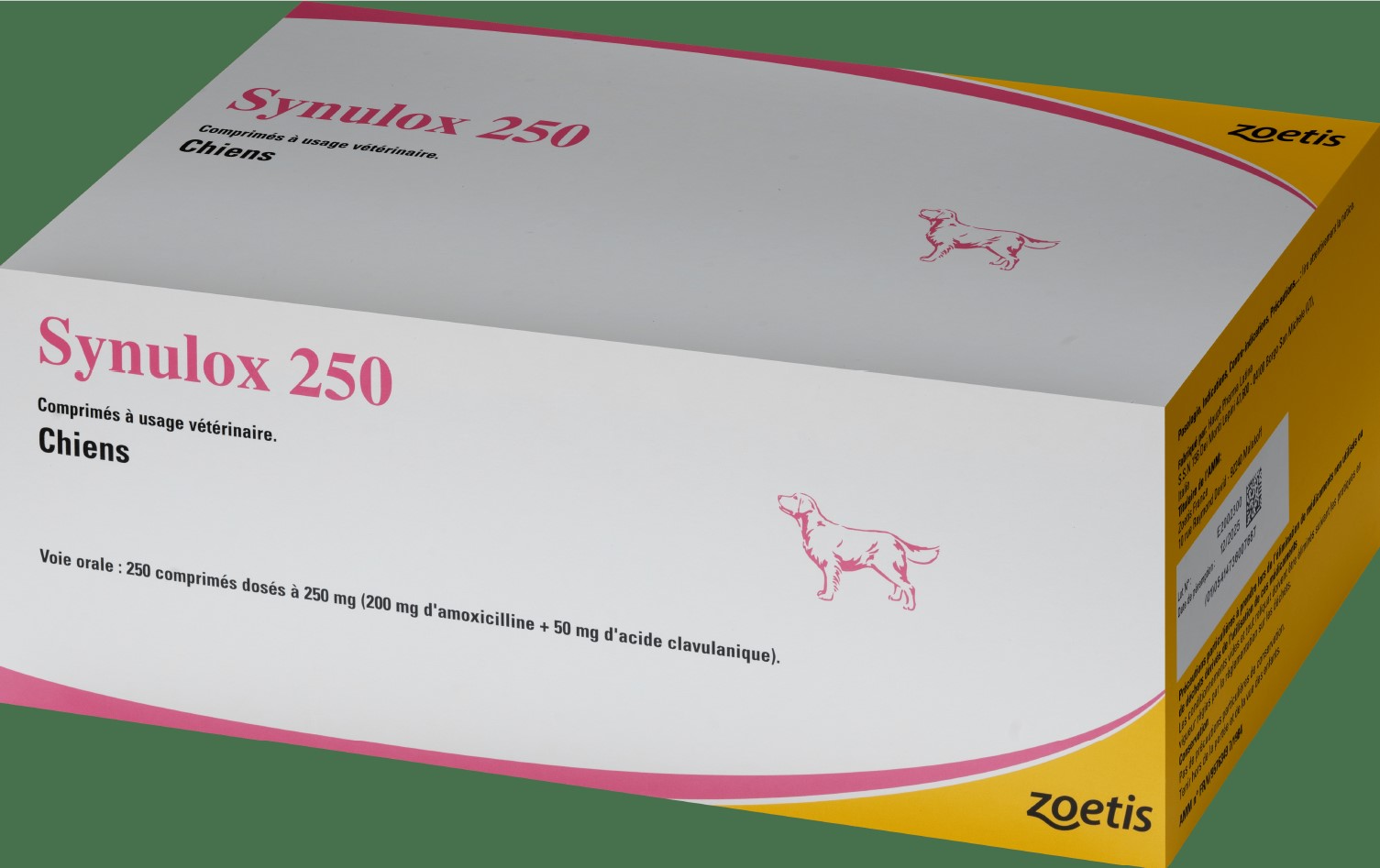 Amoxicilline 250 mg sans ordonnance
