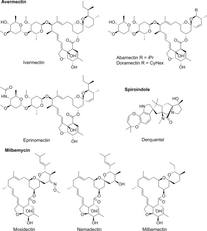 Ivermectine 3 mg vidal
