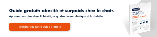 Acheter doxycycline chat
