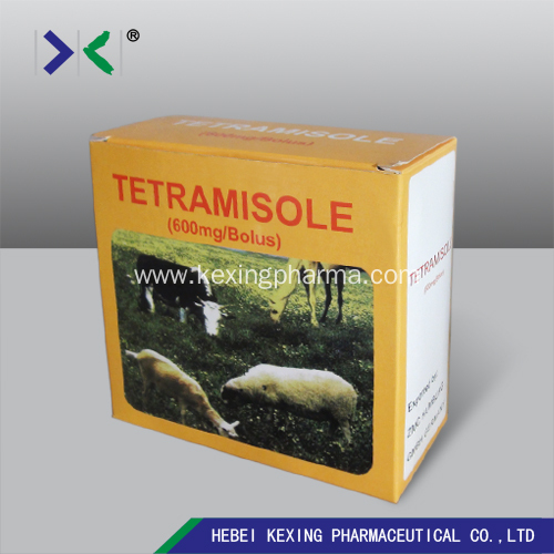 Acheter ivermectine comprimé
