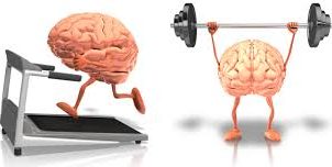 Acheter modafinil france