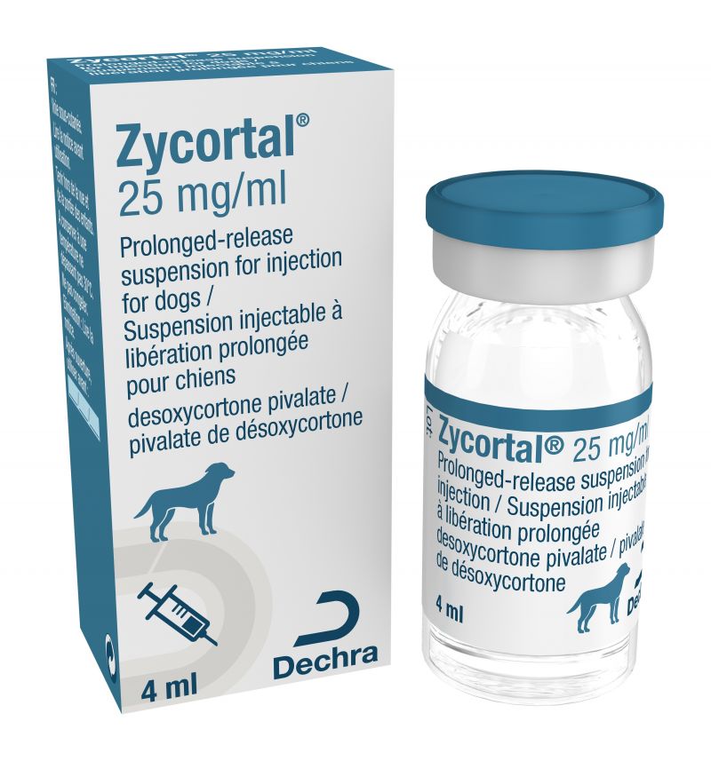 Prednisolone 5mg chat prix