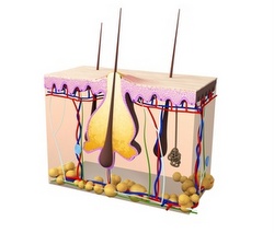 Isotrex Générique