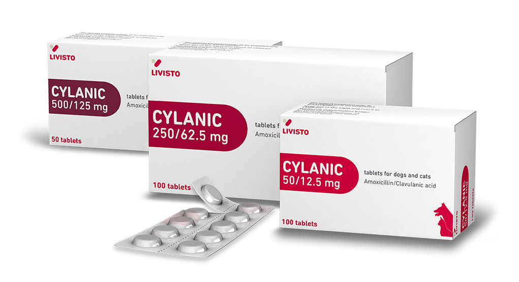 Amoxicillin achat