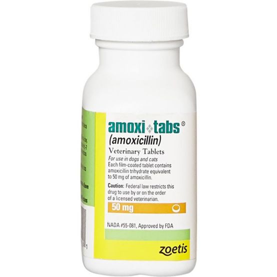 Amoxicillin acheter online
