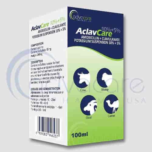 Amoxicillin clavulanate online