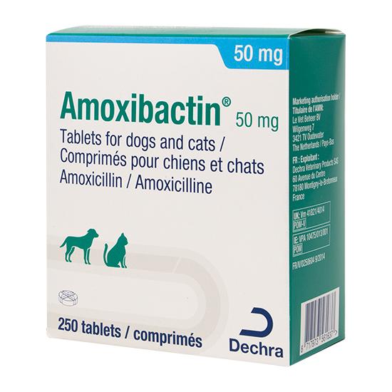 amoxicillin in france