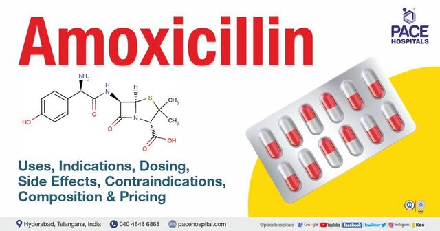 Amoxicillin prix