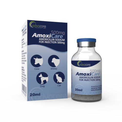 Amoxicilline 1 g vente en ligne