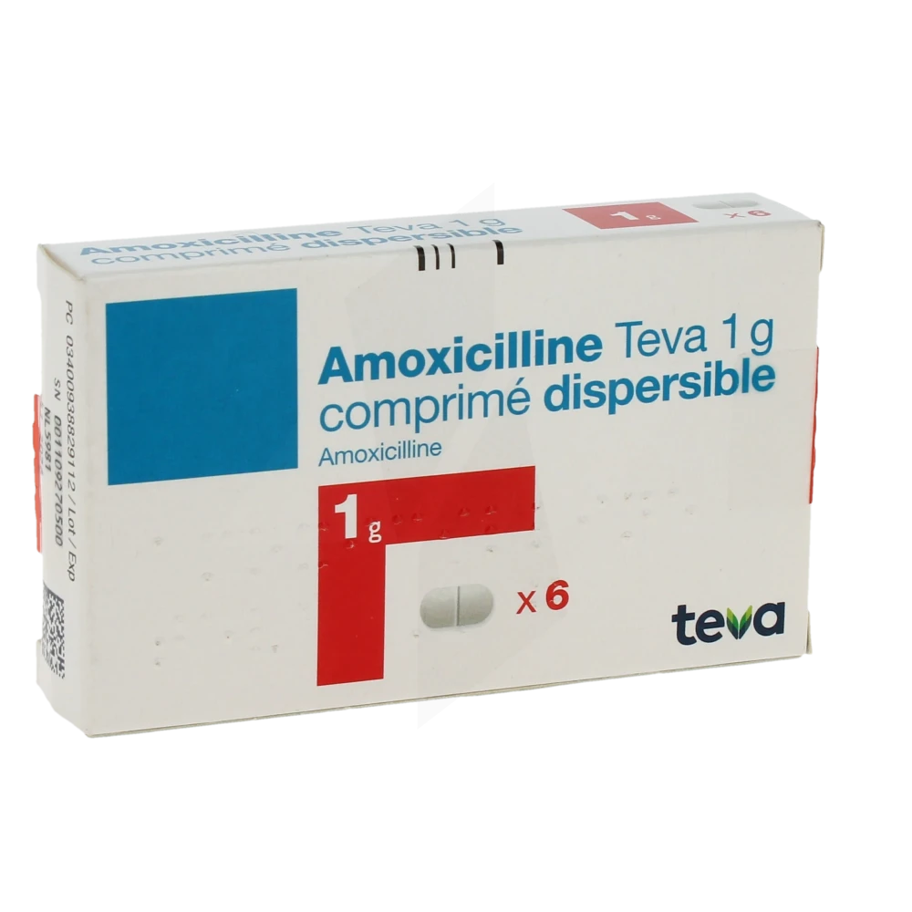 amoxicilline 1 g vente en ligne