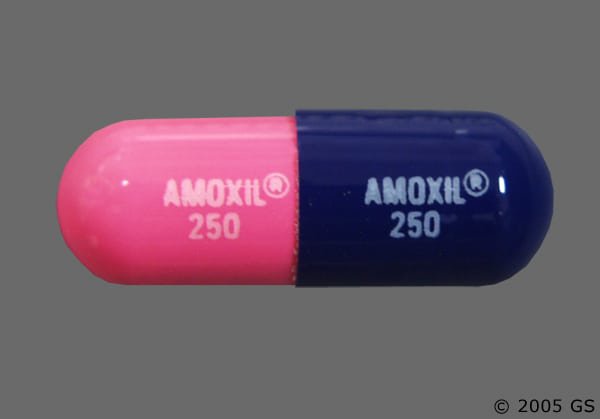 Amoxicilline 250mg