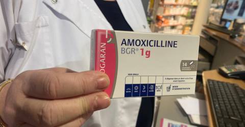 Amoxicilline Biogaran Prix