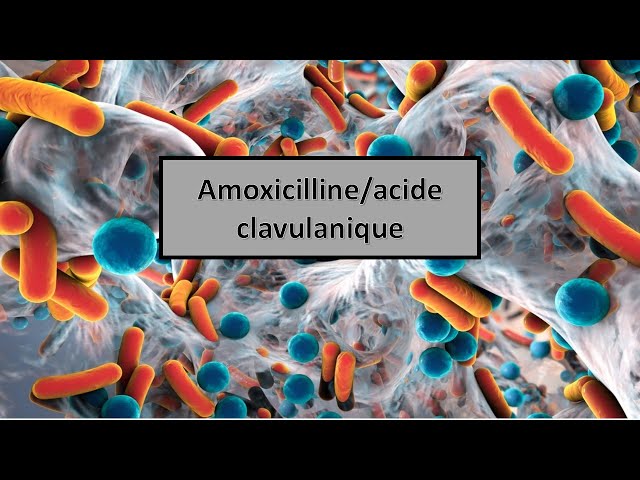Amoxicilline Clavulanique Generique
