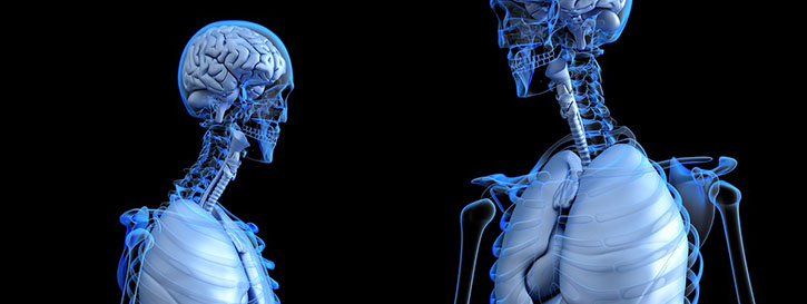 amoxicilline dokter online