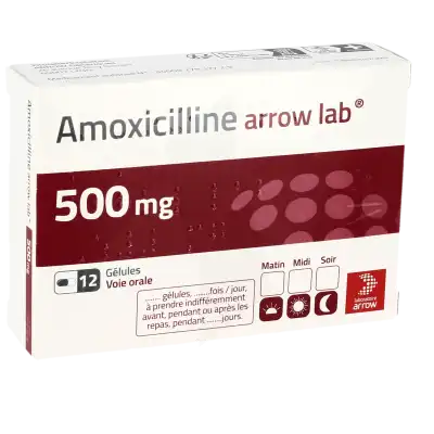 Amoxicilline pilule leeloo
