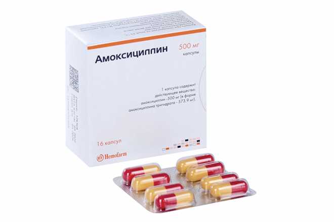 Amoxicilline pilule leeloo