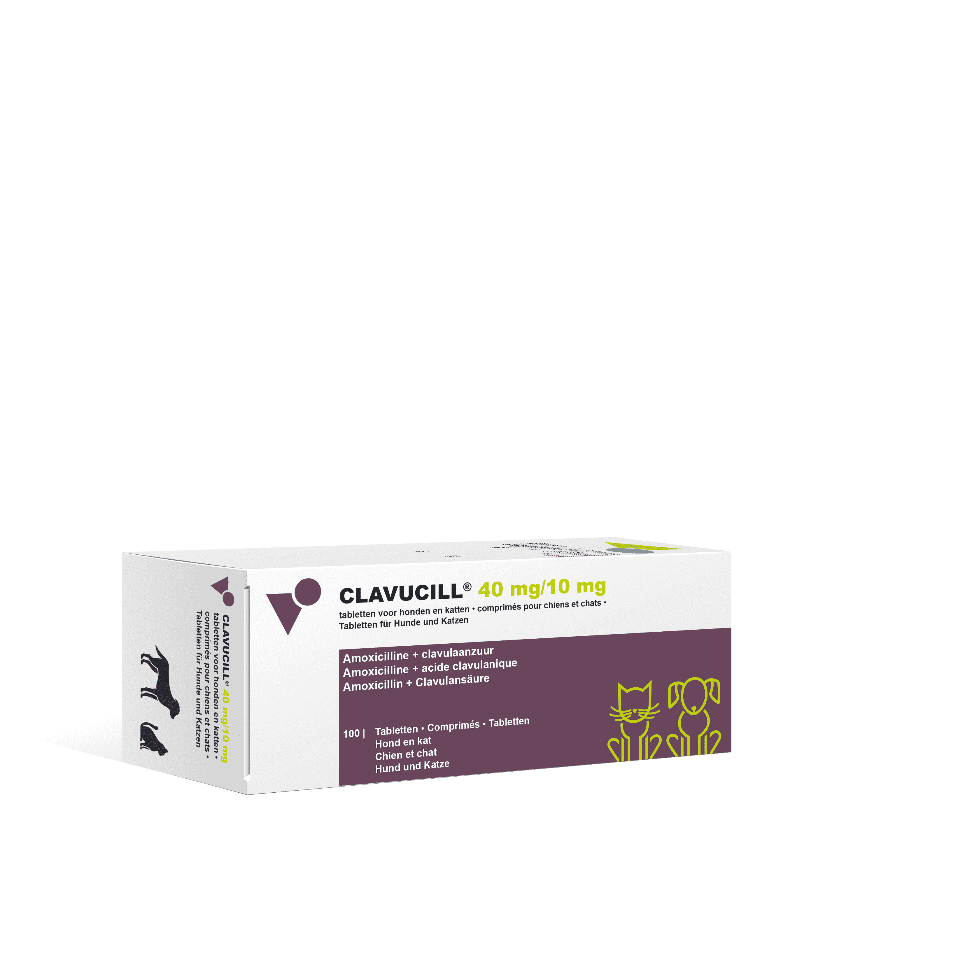 Amoxicilline pour chat prix