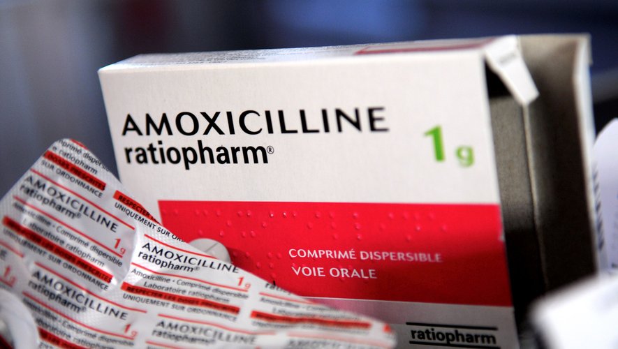 Amoxicilline prix
