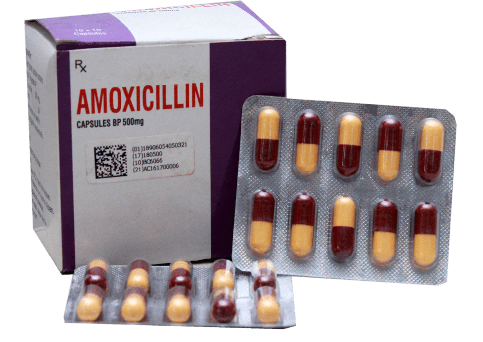 Amoxicilline Trihydrate Prix