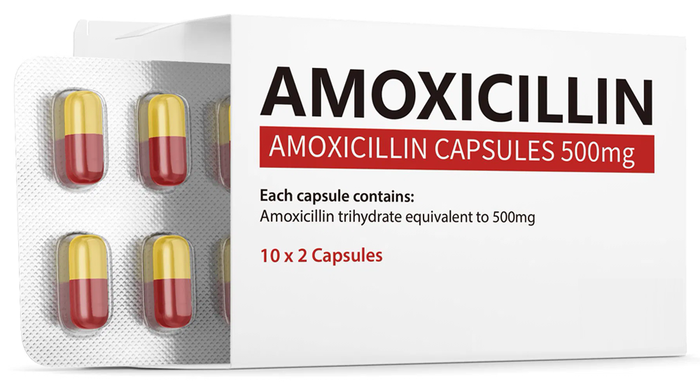 amoxil acheter online