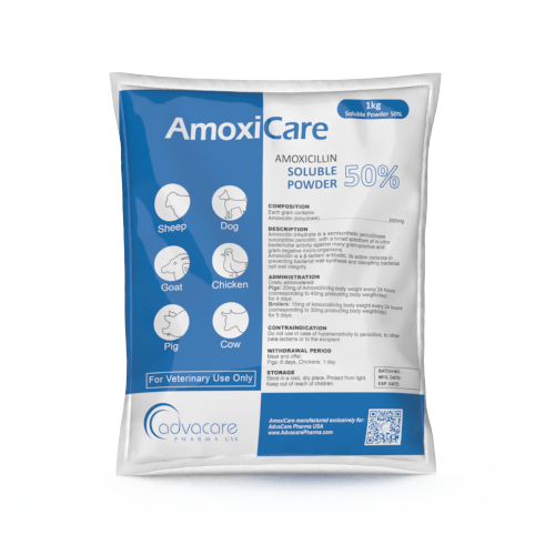 Amoxil où acheter