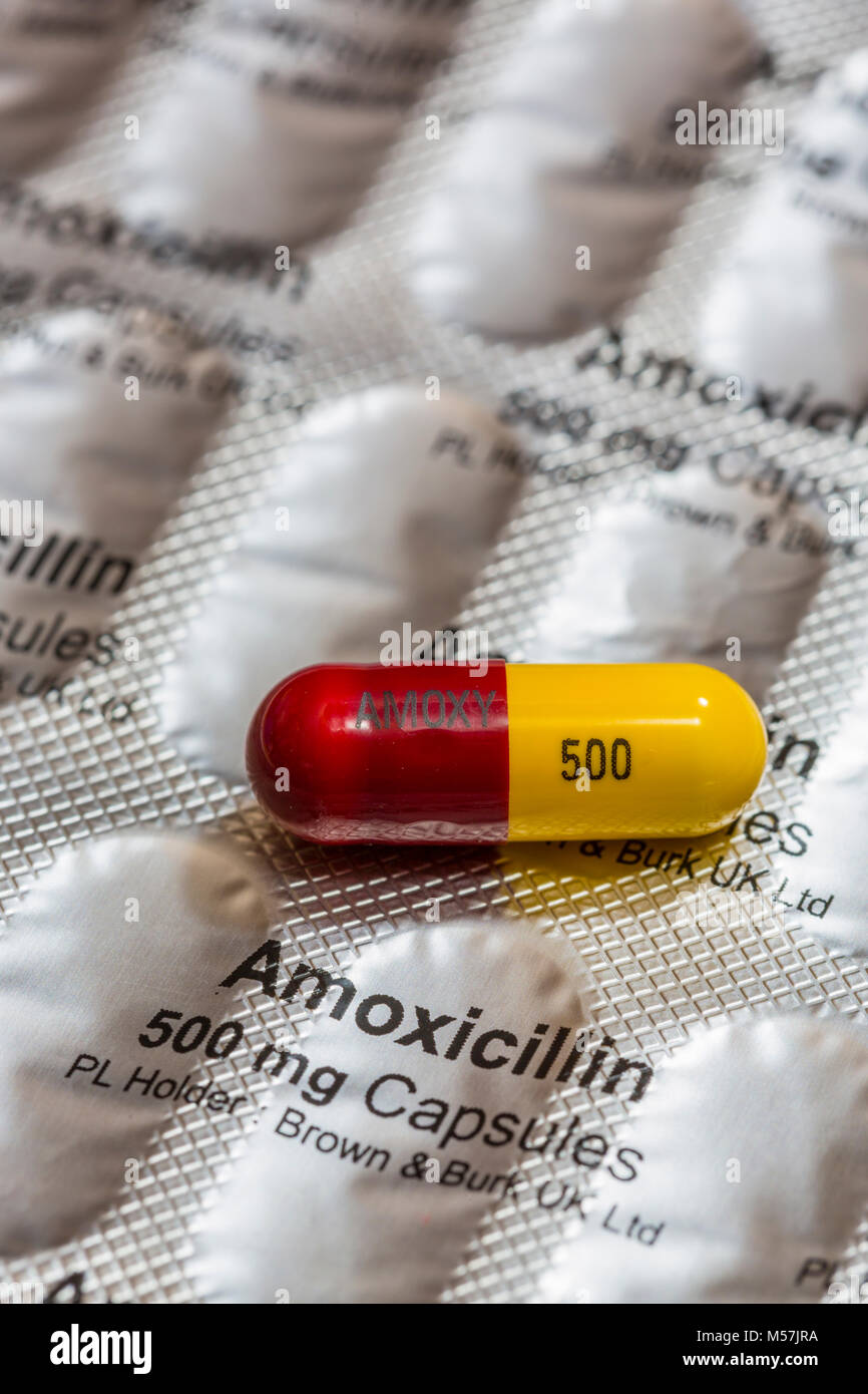 amoxil pilules