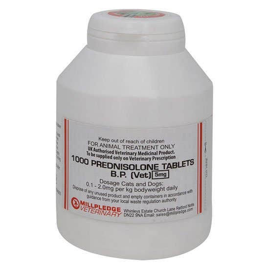 Prednisolone 5mg prix