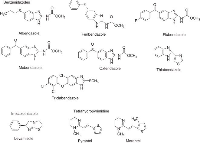 Mébendazole france