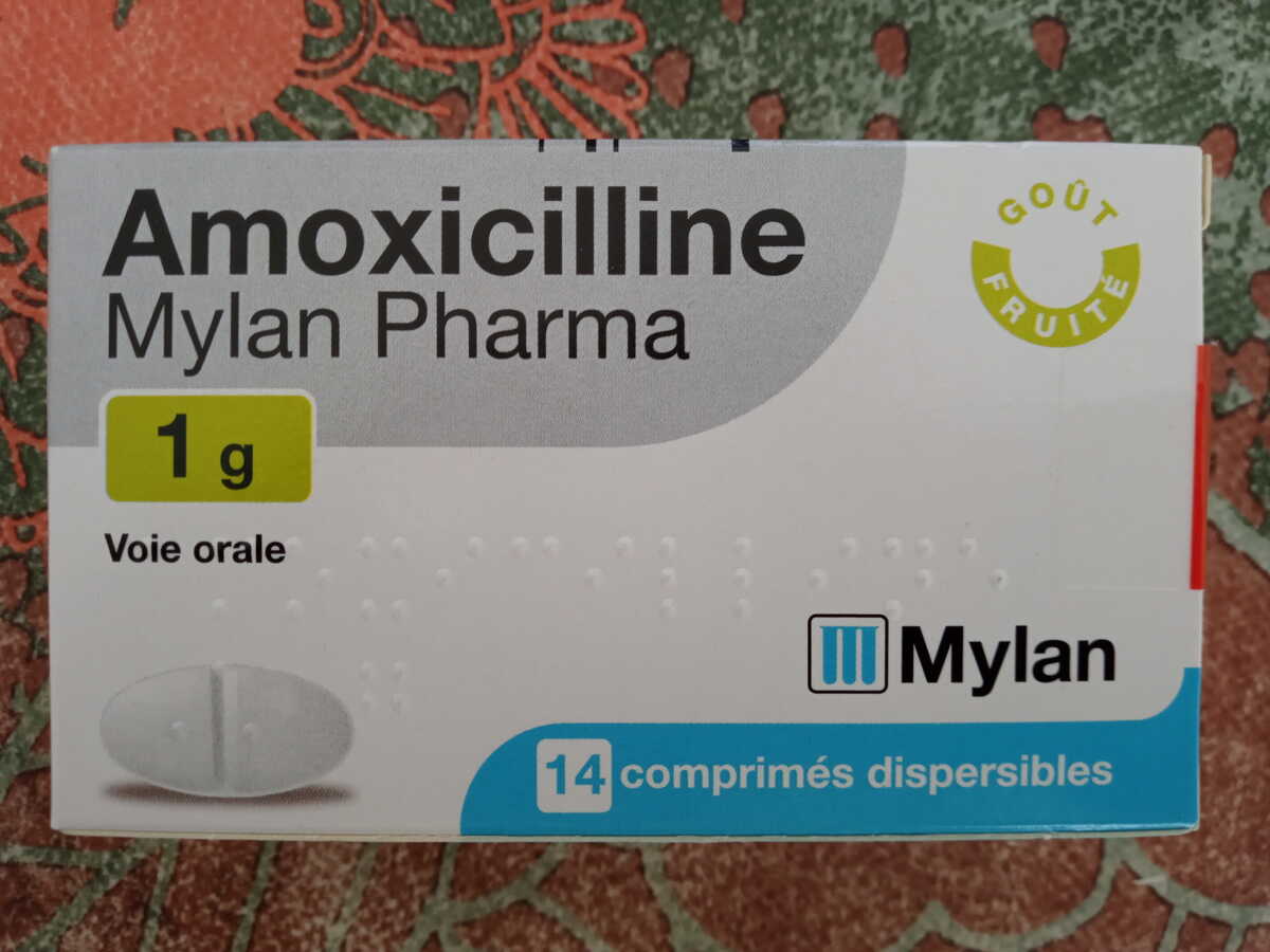 Prix Amoxicilline 1000 Mg