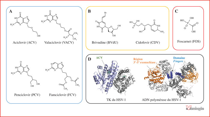 Valacyclovir Acheter