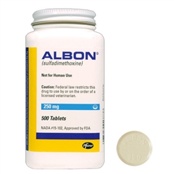 Azithromycin jubilant 250 mg