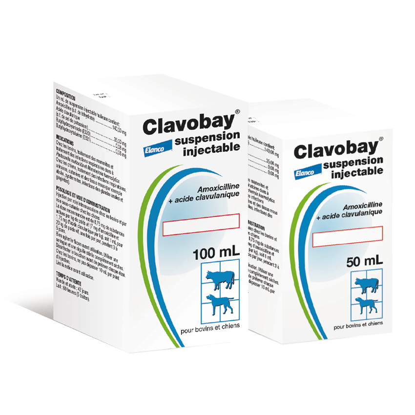 Amoxicilline acide clavulanique prix