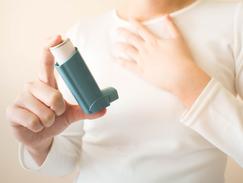 Salbutamol aerosol prix