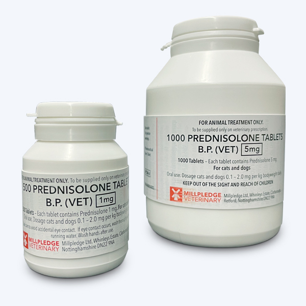 Prednisolone Vet Online