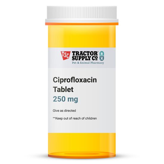 Co ciprofloxacin 250 mg