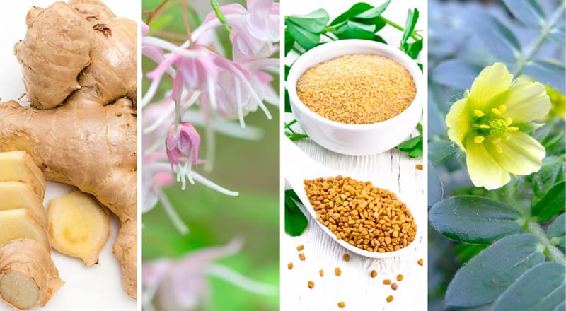 Pilule de viagra naturel