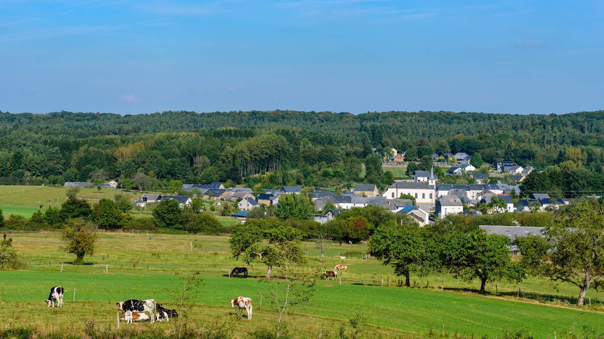 Acheter provigil belgique