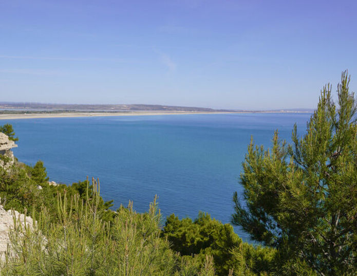 Cipro france