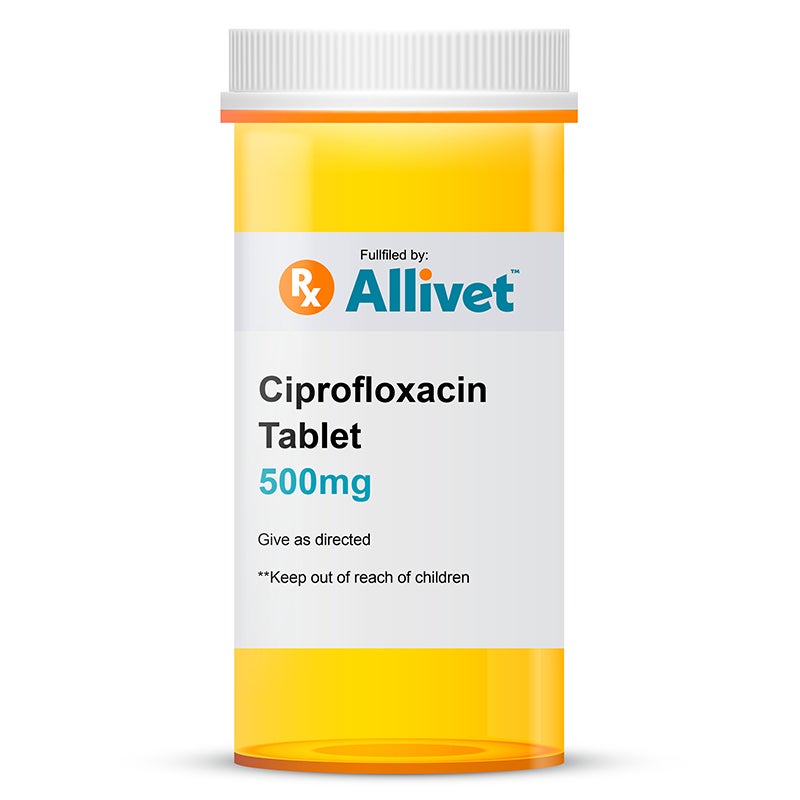 Cipro online