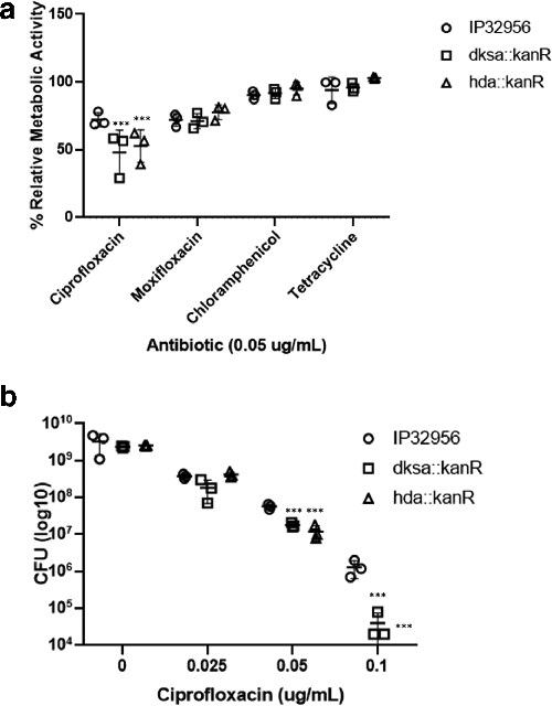 ciprofloxacin pbs online
