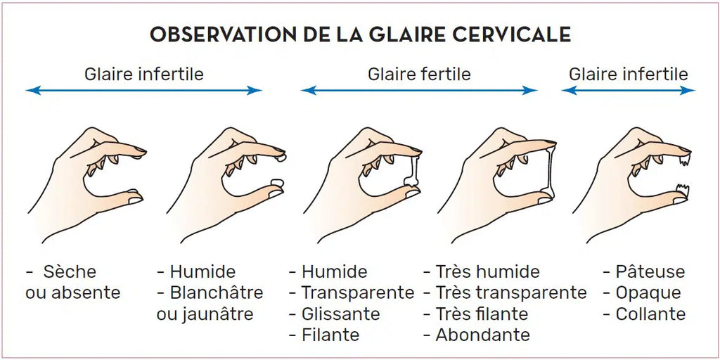 Clomid generique avis