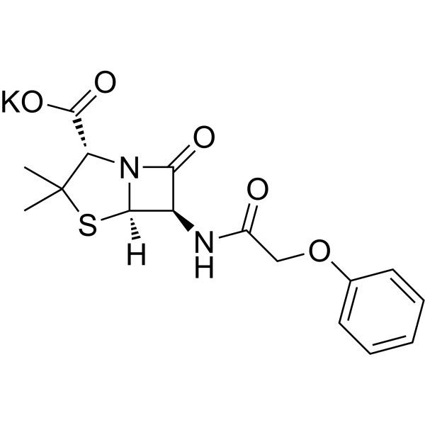 Co amoxicillin france