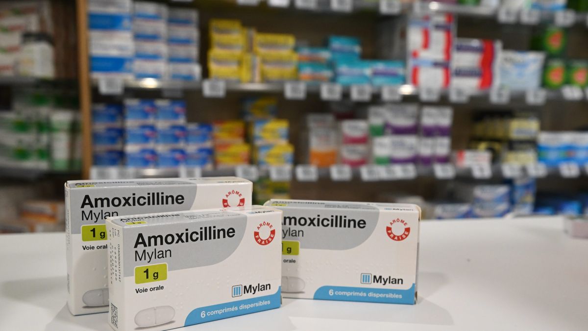 commander du amoxicillin