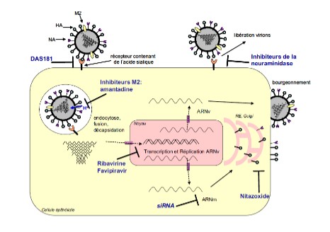 Commander du valacyclovir en ligne