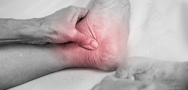 comment acheter du palexia