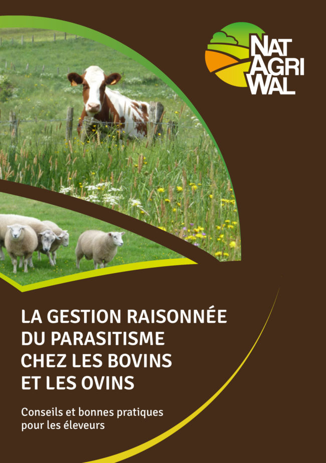 Coût du mebendazole